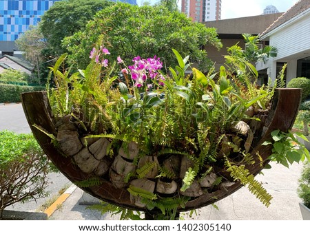 outdoor decorated plants and flowers  Royalty-Free Stock Photo #1402305140