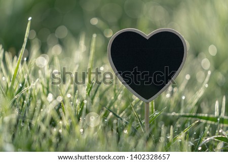 Empty heart-shaped shield on a meadow
