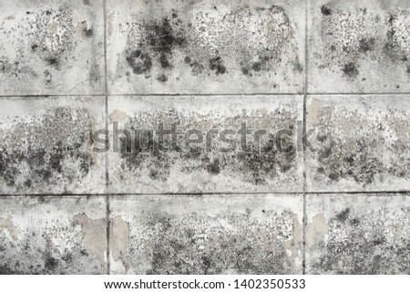 black and white brick wall texture background