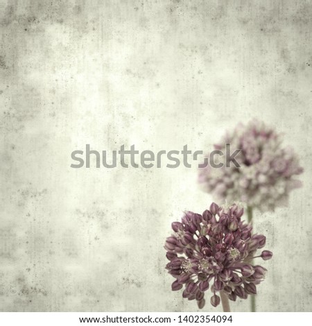 textured stylish old paper background, square, with wild leek flowers 