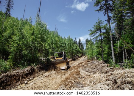 Construction of a road. Bulldozer at work. Destruction a forest. Broken and fallen trees. with a blue sky on the background. 