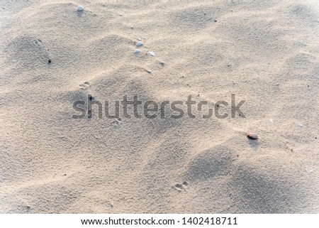 Sand, sea, nature travel Relaxing background image