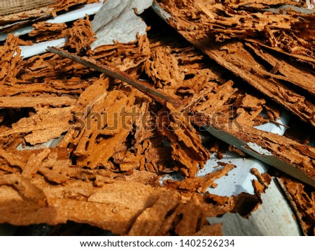 Damaged wood by Termites with a lot of holes - House structure with serious termite problem - pile of ruined wood