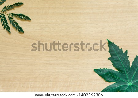 Green leaves minimal on Wood background