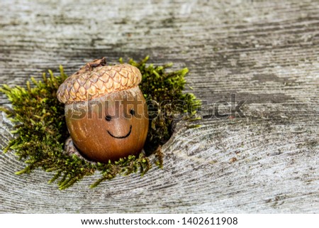 Happy little acorn peeks out of its mossy hiding spot. Cute little nut wearing a hat and smiling. 