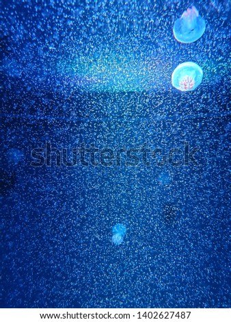 Picture with background of jellyfish under light in an aquarium tank