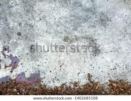 Dirty concrete background with paint drop and dry flowers border