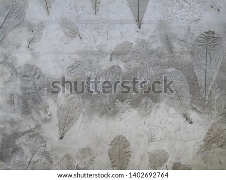 Leaf Patterns on the cement background.