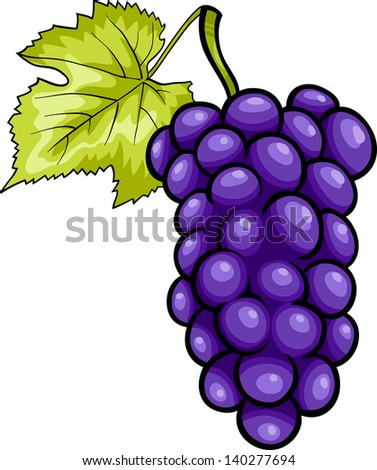 Cartoon Vector Illustration of Bunch of Blue or Purple or Black Grapes or Grapevine Fruit Food Object