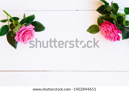 Rose mauve fresh flower twigs on table from above with copy space, flat lay scene