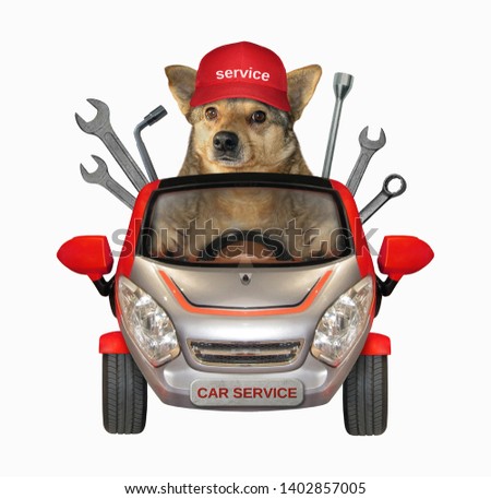 The dog auto mechanic in a cap is in the red car of the vehicle repairs company. White background. Isolated.