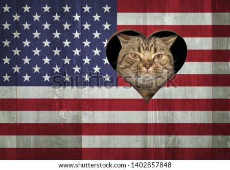 The cat looks through a hole in the US flag. This opening is in the shape of a heart.