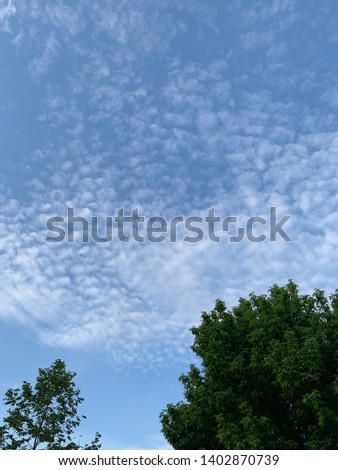 nature wall. natural sky. no edit. simple and peaceful blue  fluffy clouds sky and trees 