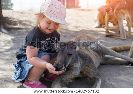 Little child girl age 1-2 feed grey kangaroo in Israel