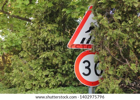 crosswalk & speed sign between trees