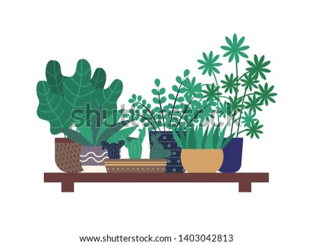 Wooden shelf with plants, flowers vector flat style, flowerpot with foliage and flora. Decor for home, containers with dots, botany flora leaves greenhouse