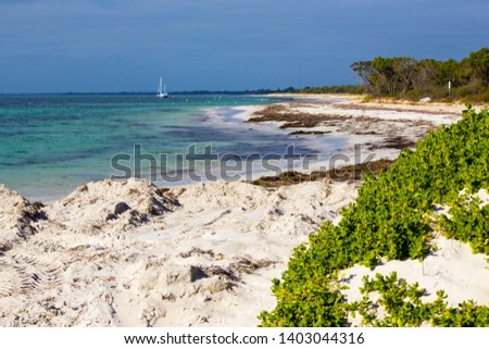  Scenic view of the idyllic coastline at peaceful Dunsborough in protected Geographe Bay South Western Australia on a fine late afternoon in spring.