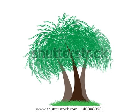 trees with green leaves looks fresh.And green Can be used for your work.