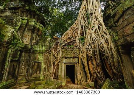 Photography of Ta Prohm Ruins at Cambodia Royalty-Free Stock Photo #1403087300