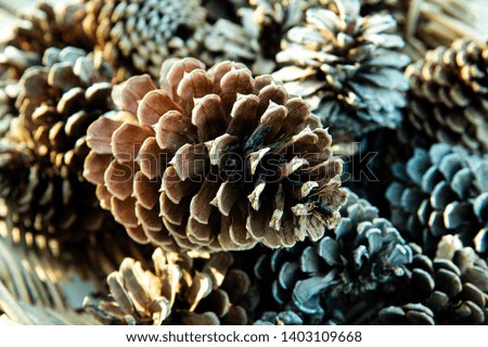 Closeup brown pine cones wood in basket background