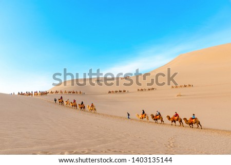 Camels Walking in the Desert Royalty-Free Stock Photo #1403135144