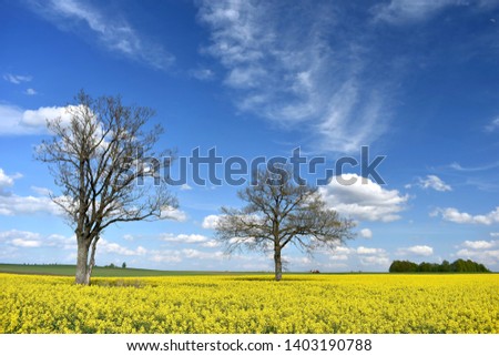 Beautiful Lithuania landscape. sunny spring day.