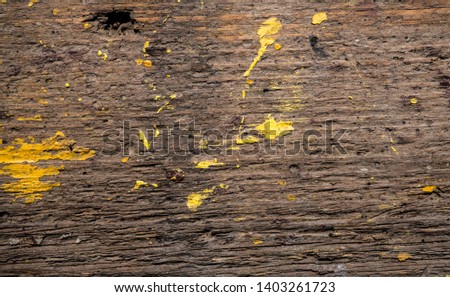 Texture of old wood covered with paint. Background Image. Macro photo.