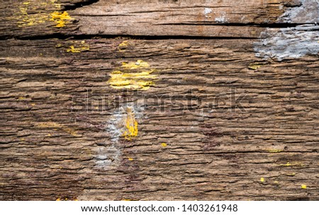 Texture of old wood covered with paint. Background Image. Macro photo.