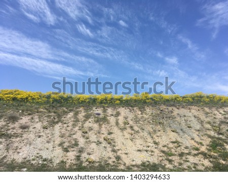 natural fields landscape under the clean sky with white clouds.