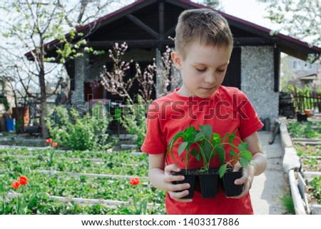 boy with  green seedling plant in his hands is smiling looking at the camera, prepared for planting in the garden. host unit in the background. Earth Day concept