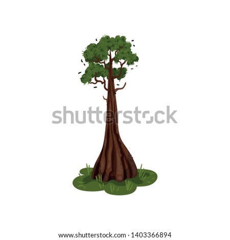 Tree with a thick trunk at the bottom. Vector illustration on white background.