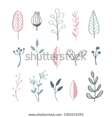 Herbal tea and floral doodle set. Vector hand drawn botanical illustration. Isolated objects on white