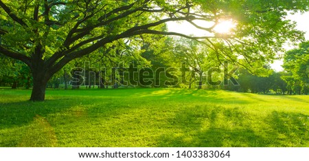 Garden sunlight in the morning Royalty-Free Stock Photo #1403383064