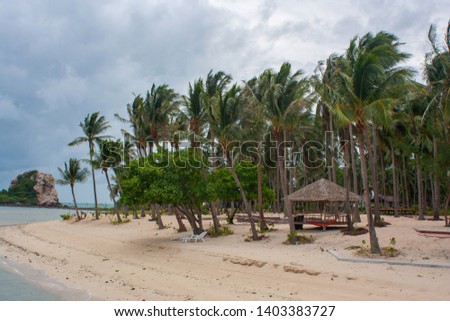 Coconut Tree on Beach.The sea Ko Samui Thailand.The best place beautiful in the summer holiday.