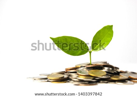 Pile of coins and small tree growing from saving. Investment concept.