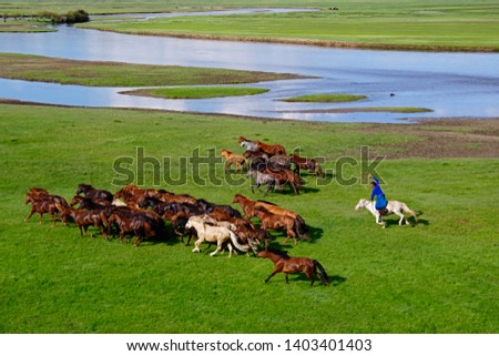 Mongolian nomads driving grazing horses Royalty-Free Stock Photo #1403401403