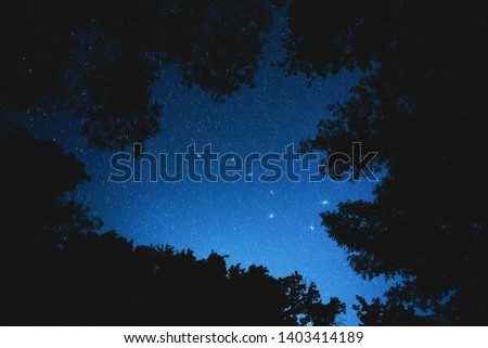 Constellation big dipper in the night forest Royalty-Free Stock Photo #1403414189