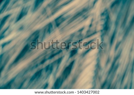 Blurred image of dry palm leaf as background texture