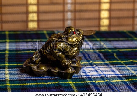 Feng Shui Frog with a coin