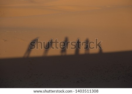 
People shadows in the Sahara desert
