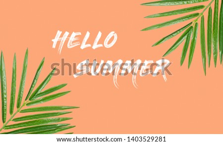 Summer holiday web banner. Summer background with lettering hello summer on coral background