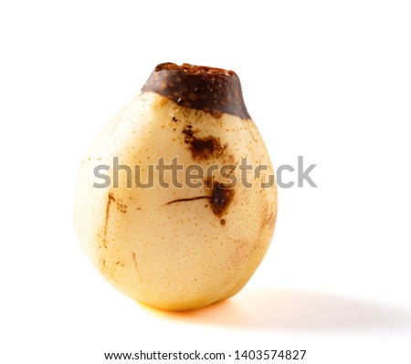 side view overripe pear with worms on white with clipping path