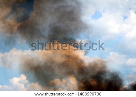 Fire Pictures HD nature ash