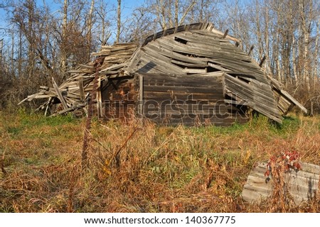 Collapsed abandoned wooden barn.  Grass and weeds in the foreground