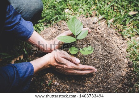World environment day reforesting, Hands of young man were planting the seedlings and tree growing into soil while working in the garden as save the world, earth day, nature and ecology concept. Royalty-Free Stock Photo #1403733494
