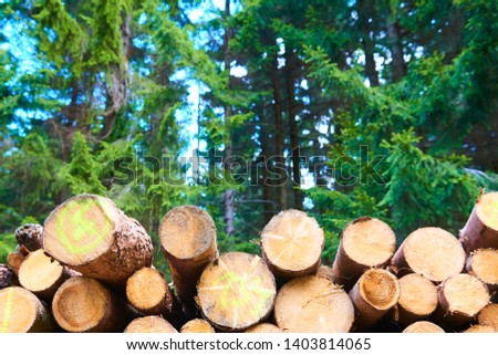 Natural wooden background - closeup of chopped firewood. Firewood stacked and prepared for winter. Pile of wood logs