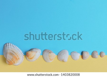 Eight seashells of the same species in different sizes close-up on a blue and yellow background. High contrast, bright colors, space for text.