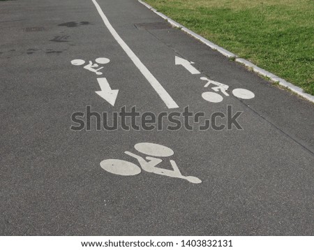 Designated bicycle path marked with three white bicycle rider icons and arrows showing direction on the grey asphalt 