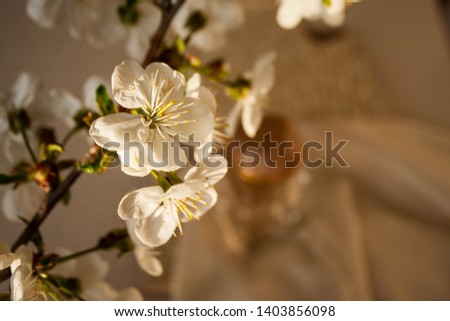 Blank perfume bottle with gold and marble cup in front of a brunch of cherry blossom. Photography in beige tones