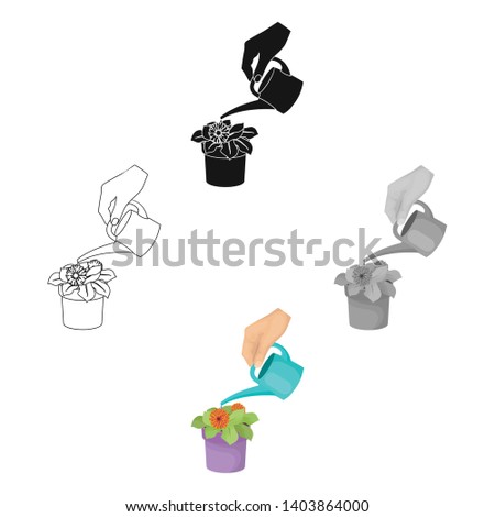Watering the houseplant in a pot. Home Flower single icon in cartoon,black style vector symbol stock illustration web.